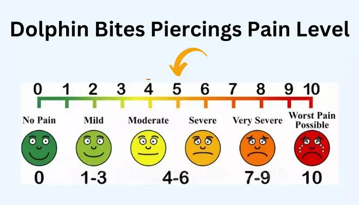 Dolphin Bites Piercings Hurt Level