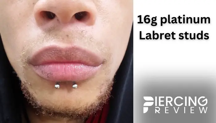 dolphin bite piercing with platinum Labret studs