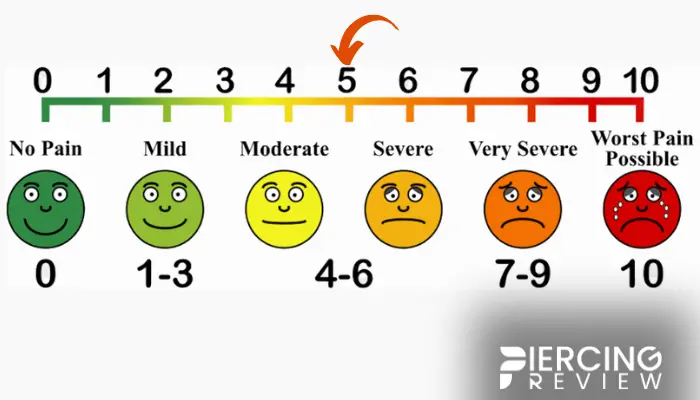 Ashley Piercing Hurt pain Level chart