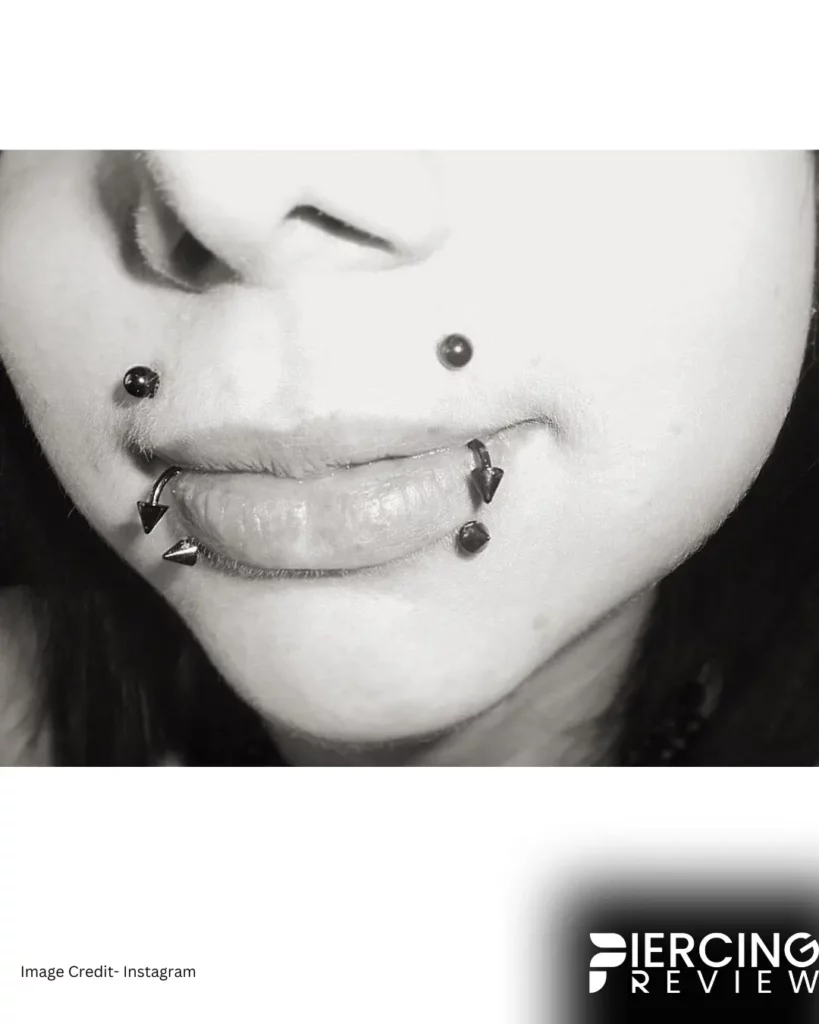 above lip studs and bottom lip spike -Canine Bites Piercing Ideas