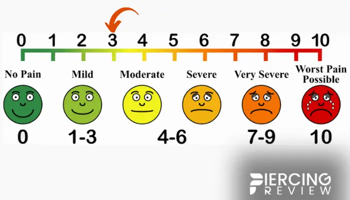 Rhino Piercing Hurt pain Level chart