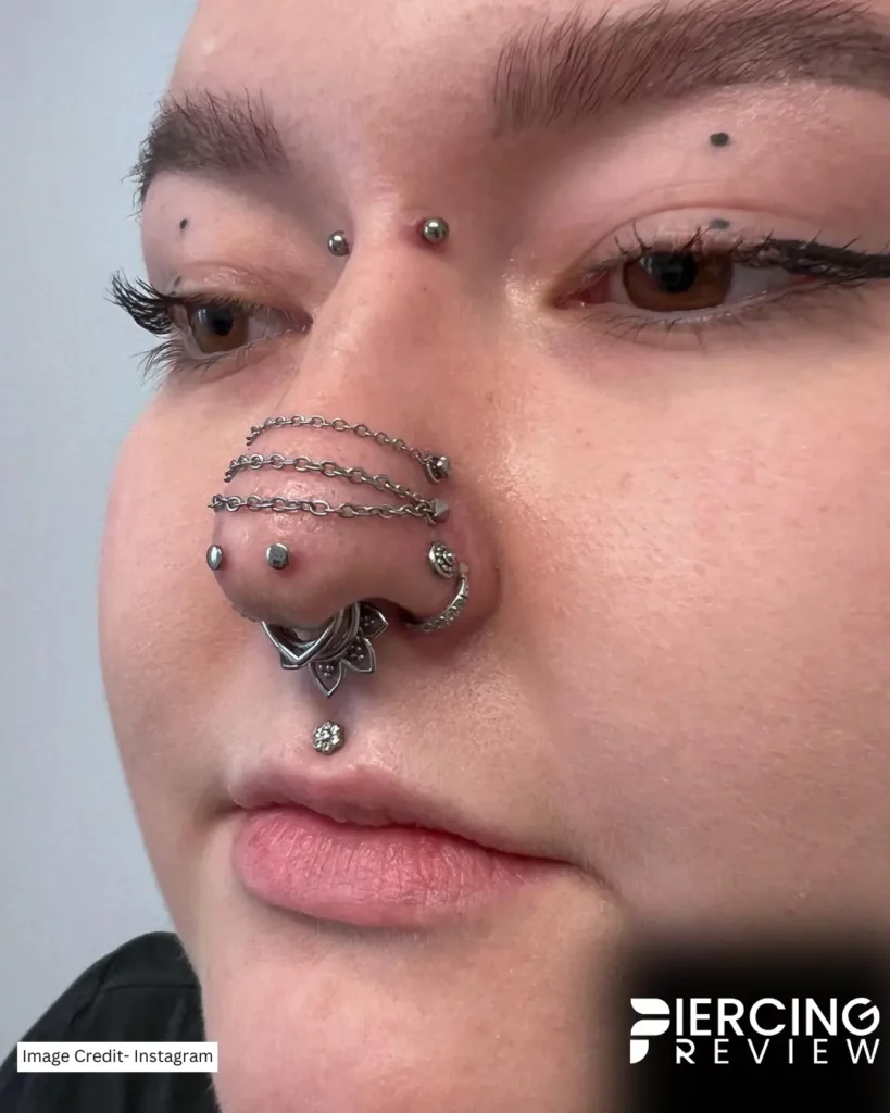 decorated nose with stainless steel studs man images download - Mantis Piercing