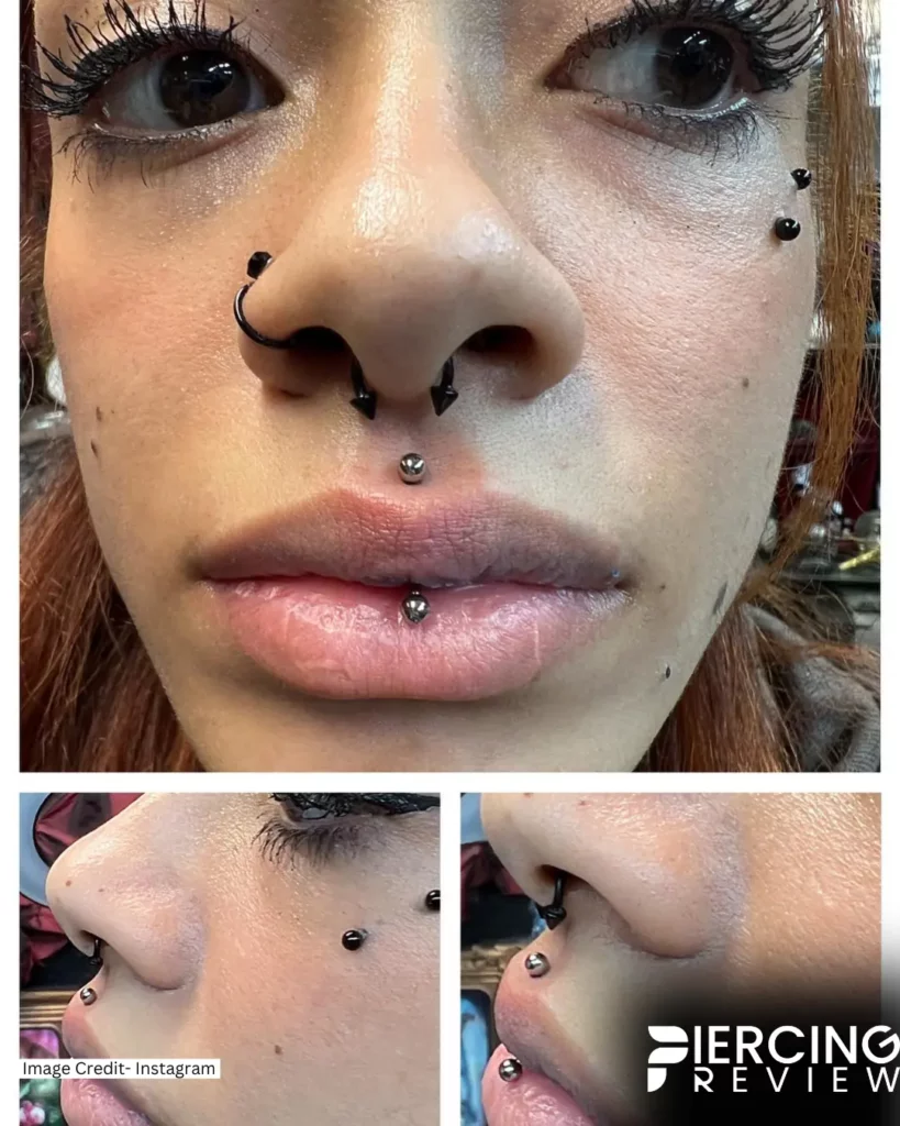 surgical steel jewelry women with nose septum Jestrum Vertical Philtrum Piercing image