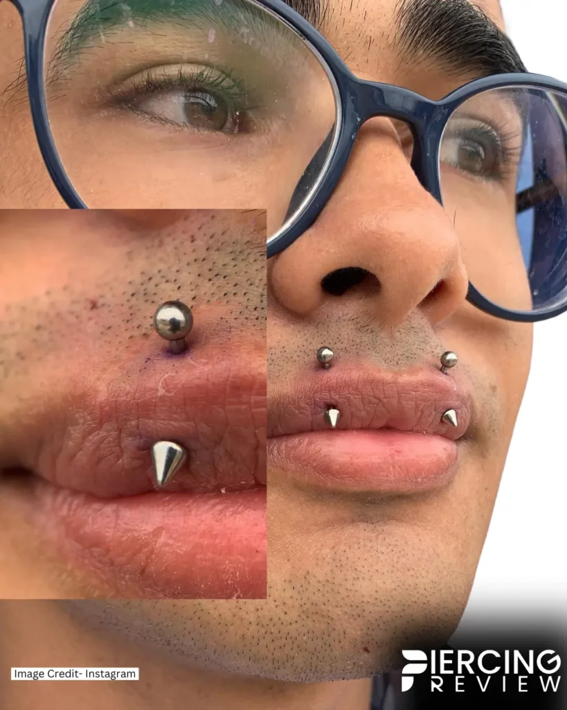 surgical steel labret jewelry man double Jestrum Vertical Philtrum Piercing image