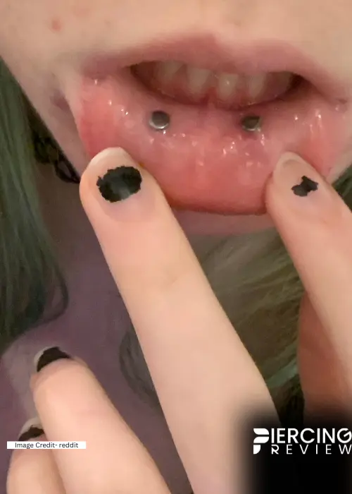 labret piercing nesting Images