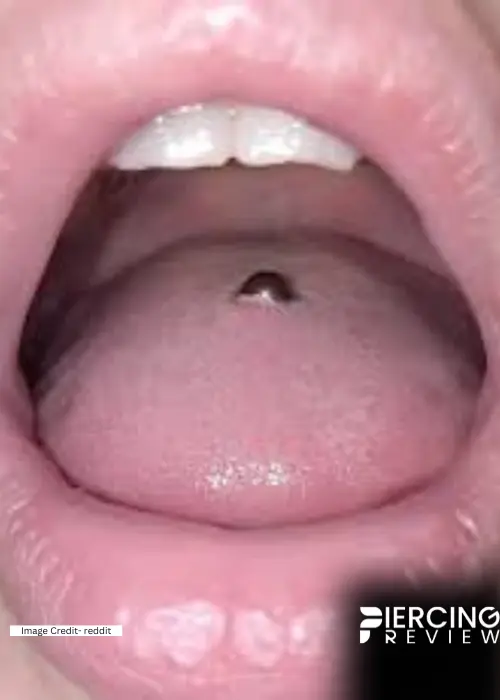 tongue piercing nesting Images